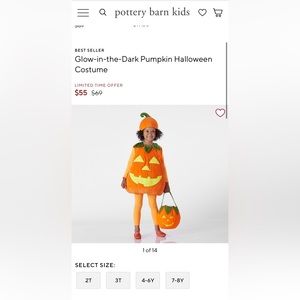 Pottery Barn Glow In The Dark Pumpkin Costume